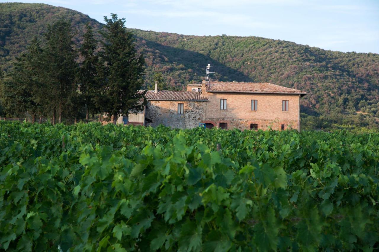 Luce Di Vino Villa Montalcino Kültér fotó