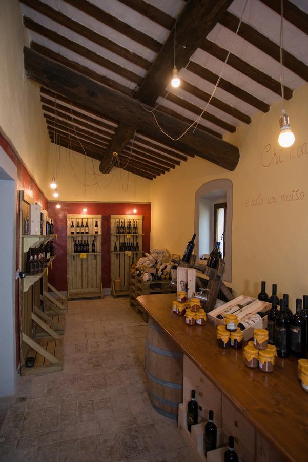 Luce Di Vino Villa Montalcino Kültér fotó