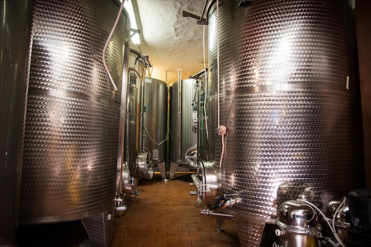 Luce Di Vino Villa Montalcino Kültér fotó